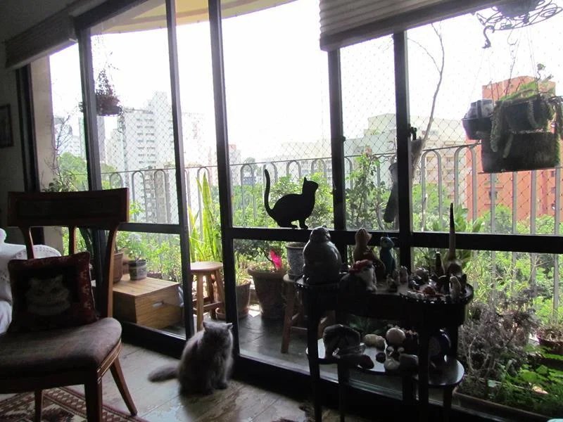 Apartamento à venda com 4 quartos, sendo 1 suíte, em Jardim Ampliação, São Paulo, SP
