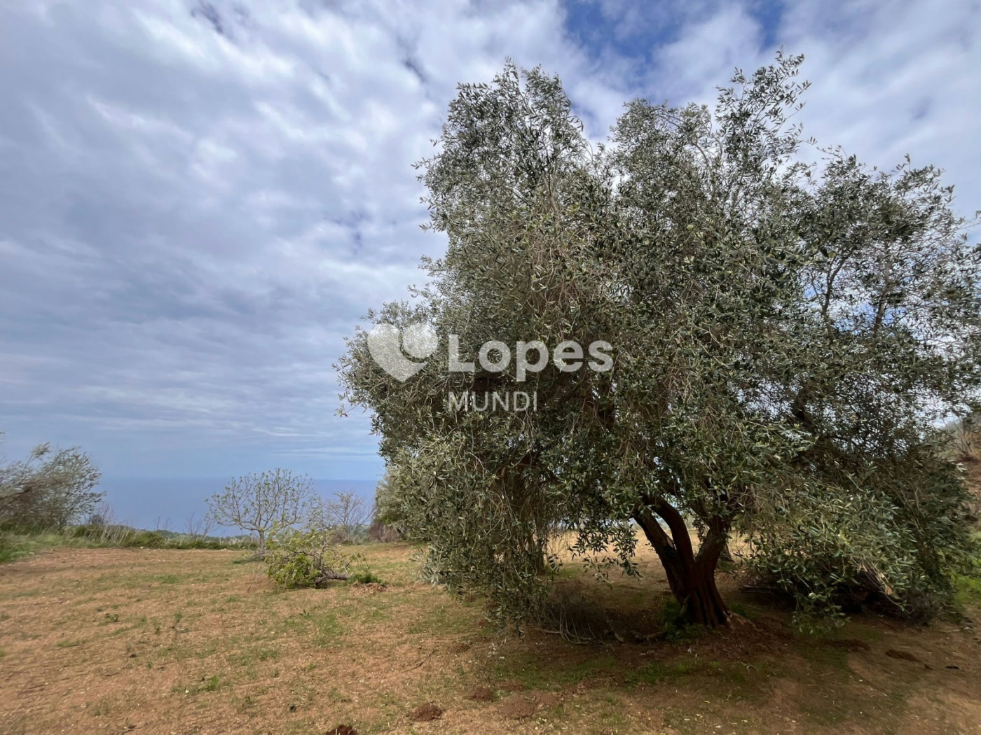 Terreno à venda em San Lucido, Cosenza, Itália – 1.700 m² e vista para o mar