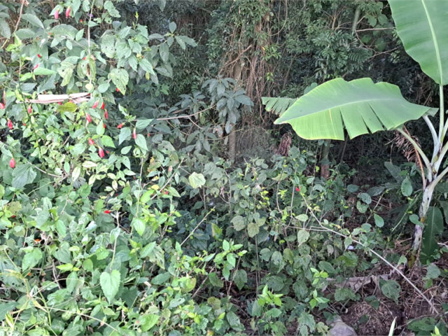 Terreno à venda no condomínio Sausalito, Mairiporã - SP