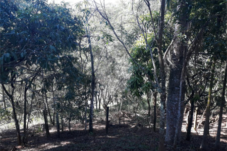 Sítio à venda com 9 quartos, sendo 7 suítes, no Centro, Monteiro Lobato, SP