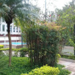Apartamento à venda com 3 quartos, sendo 1 suíte, em Jardim Londrina, São Paulo, SP