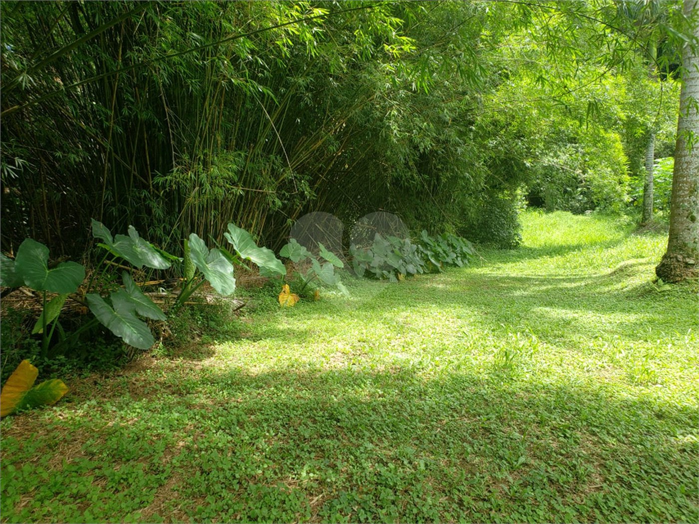 Terreno à venda em Horto, São Paulo, SP