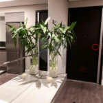 Apartamento à venda com 1 suíte em Vila Olímpia, São Paulo, SP