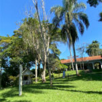 Sítio à venda com 4 quartos, sendo 3 suítes, em Aguas de Igaratá, Igaratá, SP