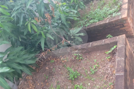 Chácara no Condomínio Vale das Laranjeiras em Indaiatuba SP - Venda - R$ 3,600.000,00 - Locaçao - R$ 30.000,00 mais encargos - Linda, espaçosa, aconchegante, acabamento de alto padrão em rua tranquila e arborizada, em um dos Condomínios mais valorizados de Indaiatuba. Com fácil acesso as principa