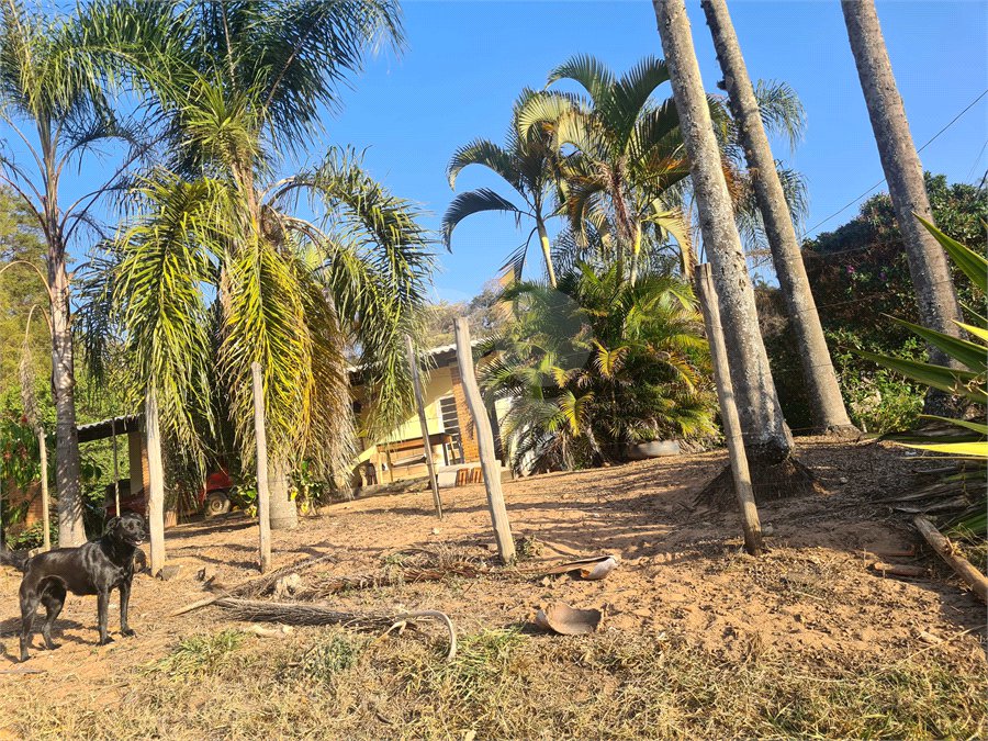 VENDA SÍTIO 48 hectares com estruura para granja, hidroponia e gado