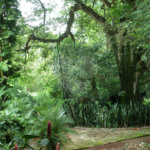Chácara à venda a poucos minutos do Centro de Piracicaba