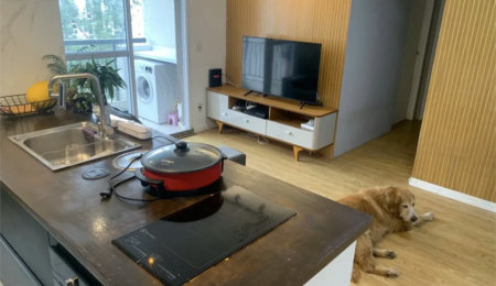 Apartamento à venda com 1 quarto em Parque Reboucas, São Paulo, SP