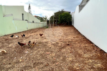 Oportunidade Única no Jardim Cardinalli – Terreno em Localização Privilegiada.