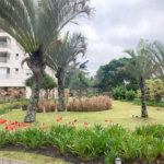 Apartamento para alugar com 4 quartos, sendo 2 suítes, em Jardim Marajoara, São Paulo, SP