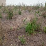 Lote no Jardim do Bosque, aceita financiamento ou aquisição de terreno e construção .