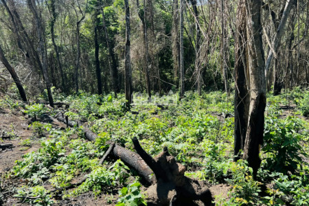 Loteamento à venda no condomínio Estancia Santa Maria do Laranjal, Atibaia - SP