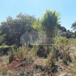Sitio São João - Km 258