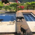 Mansão de Luxo em Louveira: Viva o Sonho no Condomínio Jardim Primavera