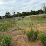 OPORTUNIDADE IMPERDÍVEL TERRENO PLANO COM 5000 M²