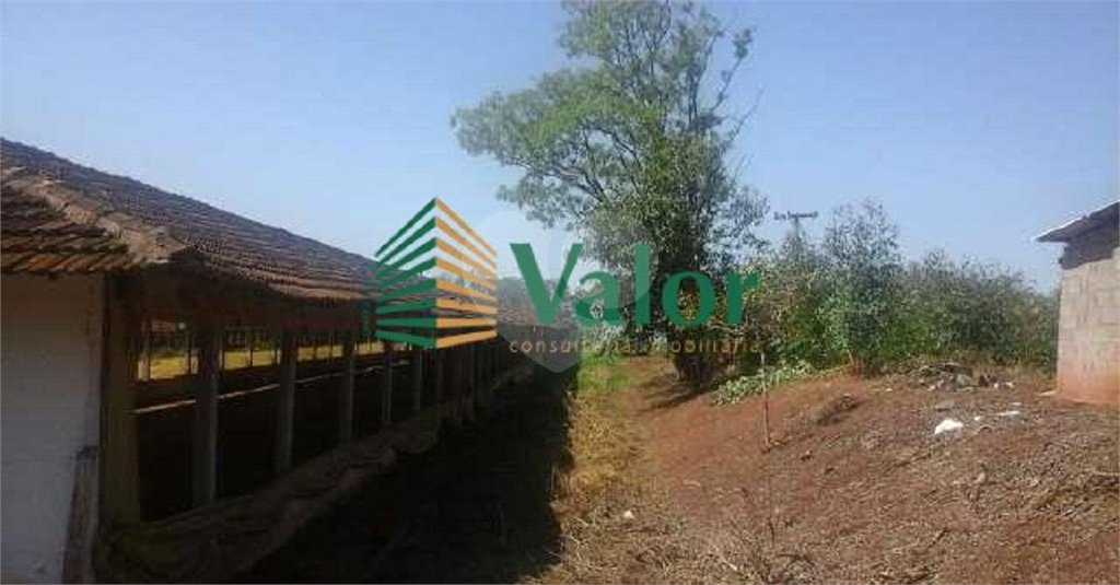 Sítio Estrada São Carlos Ribeirão - próximo São Carlos