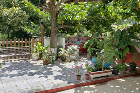 Sitio para venda.