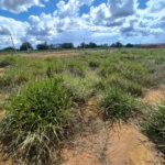 Terreno plano com 240,00 m² , localizado no Residencial Arcoville.