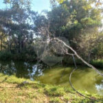 Belíssima chácara no Alpes das Águas em São Pedro