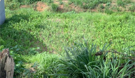 Terreno à venda em Vila Gardênia, Atibaia, SP