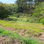 Terreno à venda em Chácara Fernão Dias, Bragança Paulista, SP