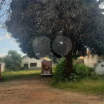 Terreno para alugar no Centro, Três Lagoas, MS