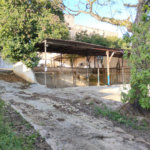 Terreno para alugar em Vila Santa Catarina, São Paulo, SP