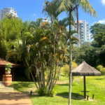 Cobertura à venda ou para alugar com 4 suítes em Jardim Morumbi, São Paulo, SP