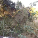 Terreno à venda em Chácara Flora, São Paulo, SP