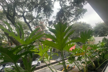 Apartamento à venda com 2 suítes em Vila Madalena, São Paulo, SP
