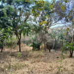 Casa à venda com 4 suítes em Geribá, Armação dos Búzios, RJ