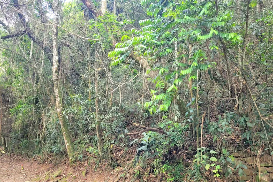 Terreno à venda no condomínio Alpes da Cantareira, Mairiporã - SP