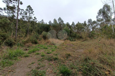 Terreno à venda em Vila Junqueira, São Roque, SP