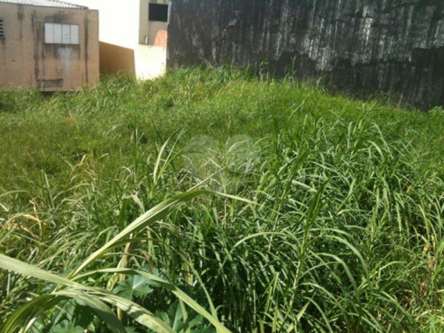 Terreno à venda em Tremembé, São Paulo, SP