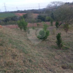 Chácara à venda com 4 quartos, sendo 1 suíte,  em Loteamento Quinta da Mata, Ibiúna, SP