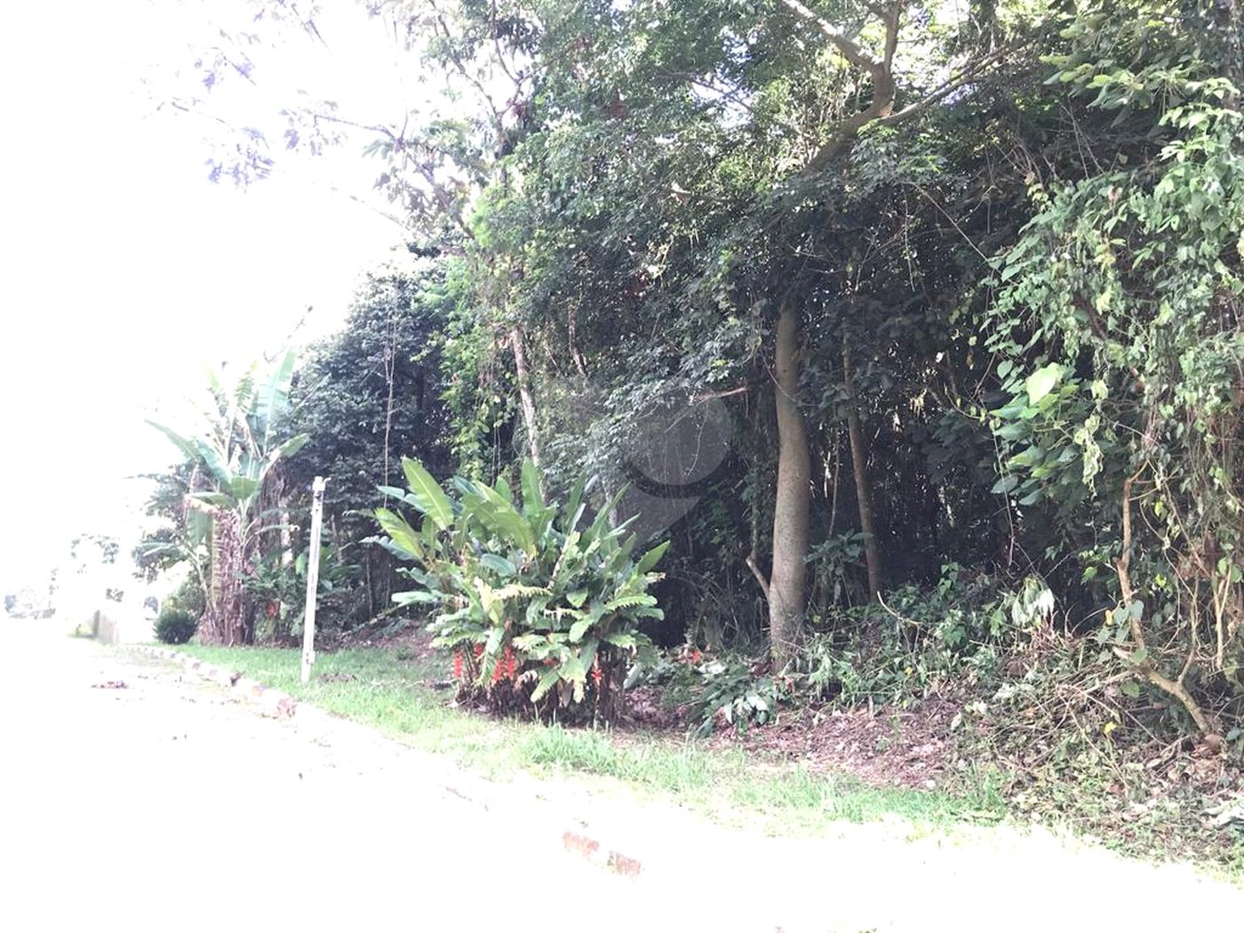 Terreno à venda no condomínio Champs Elysées Village, Mairiporã - SP