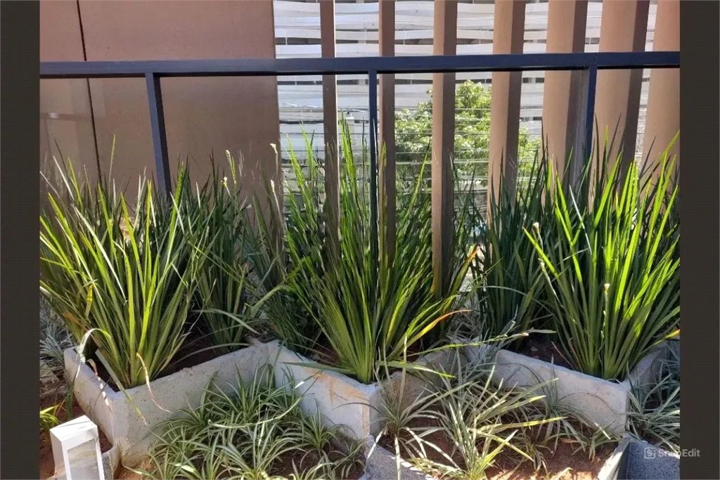 Apartamento à venda com 1 quarto em Brooklin Paulista, São Paulo, SP