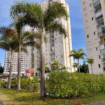 Apartamento à venda com 3 quartos, sendo 1 suíte, em Lapa, São Paulo, SP