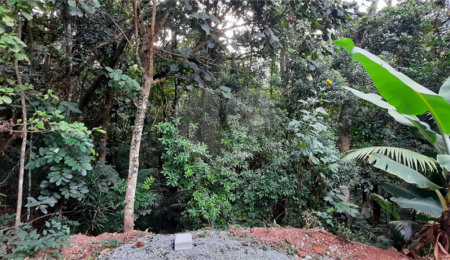 Terreno à venda em Serra da Cantareira, Mairiporã, SP