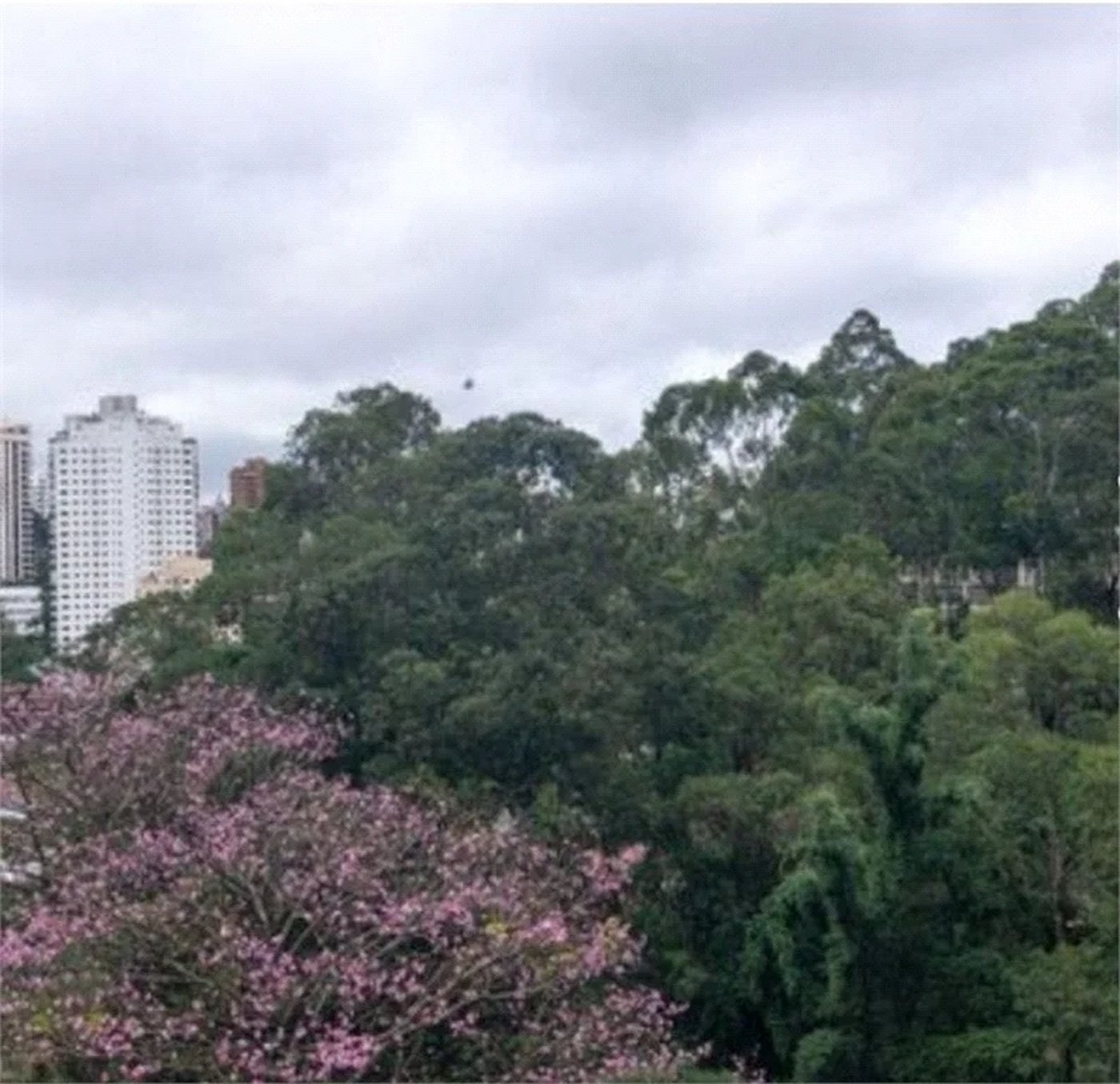Apartamento à venda com 3 suítes em Vila Andrade, São Paulo, SP