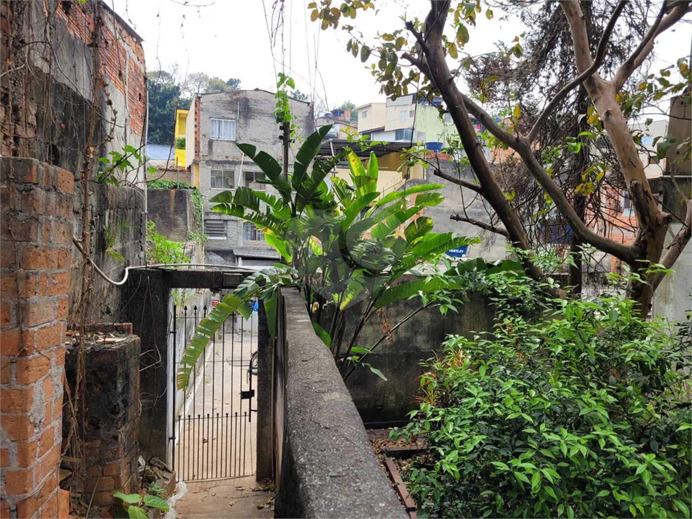 Terreno à venda em Vila Aurora (zona Norte), São Paulo, SP