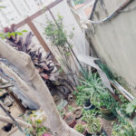 Sobrado à venda com 3 quartos em Tremembé, São Paulo, SP