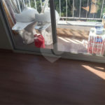 Apartamento à venda com 3 quartos, sendo 1 suíte, em Parque Reboucas, São Paulo, SP