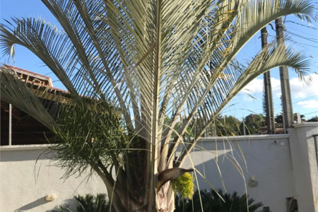 Casa à venda com 5 quartos, sendo 3 suítes, em Loteamento Jardim Morumbi, Atibaia, SP