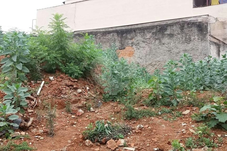 Terreno à venda em Limão, São Paulo, SP