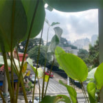 Apartamento à venda com 2 suítes em Vila Madalena, São Paulo, SP