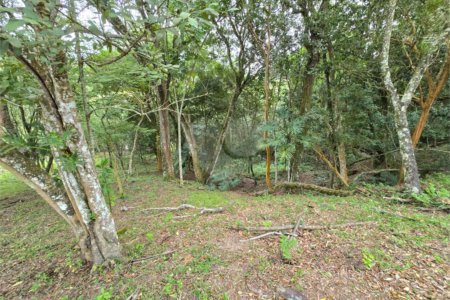 Sítio à venda com 6 quartos, sendo 5 suítes, em Área Rural de Itapetininga, Itapetininga, SP