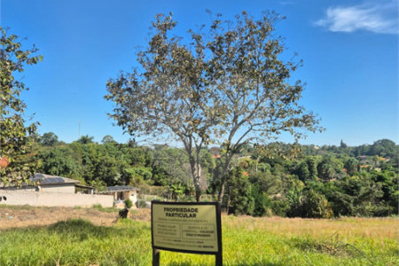 Terreno à venda em Chácaras São Bento, Valinhos, SP