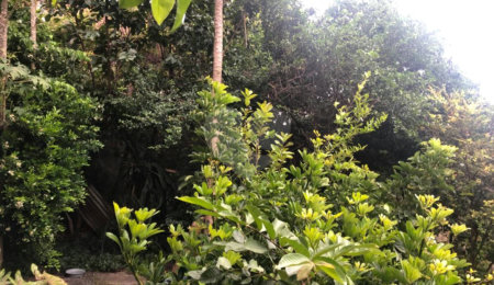 Casa Térrea à venda com 2 quartos em Casa Verde, São Paulo, SP