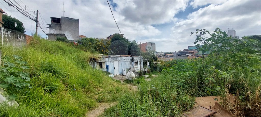 Terreno à venda em Guaianazes, São Paulo, SP